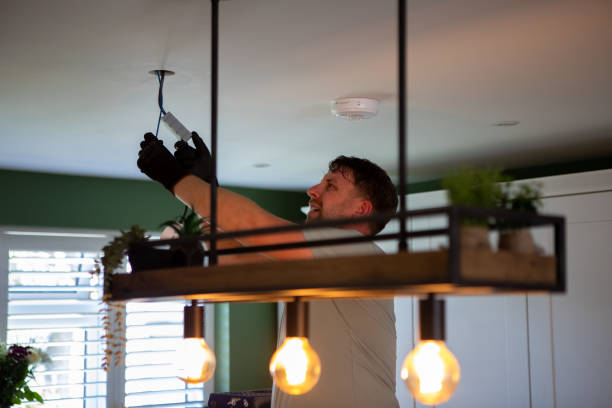 Best Electric Panel Repair  in Slaton, TX